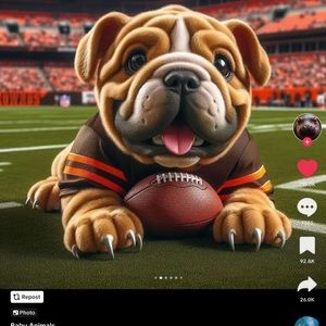 Meet your Posher, Harlow